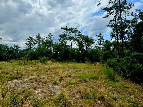 Softstone Dr Lot 4, Webster, FL 33597