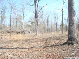 1180 Thompson Rd, Ohatchee, AL 36271