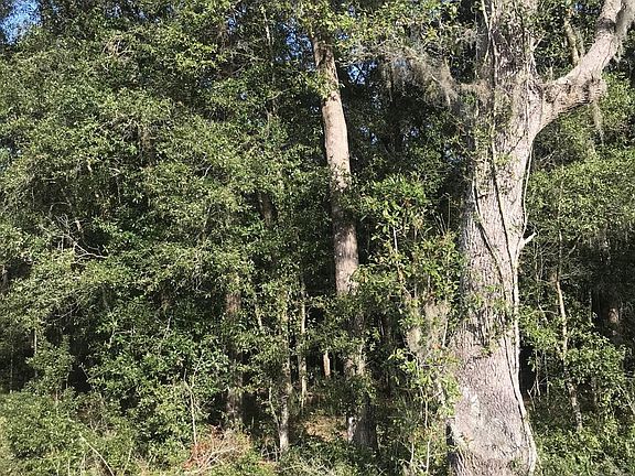 2nd image of 126 IDLEWOOD ACRES Road