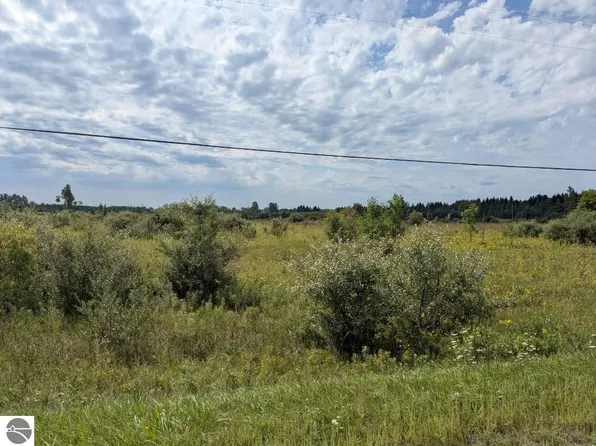0 Curtis Rd, Hale, MI 48739