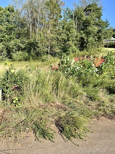 2nd image of 0 Valley Rd