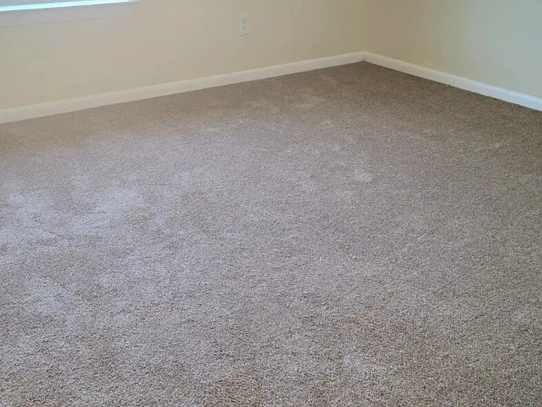 8221 Sam Rayburn Dr #101 — Photo 8