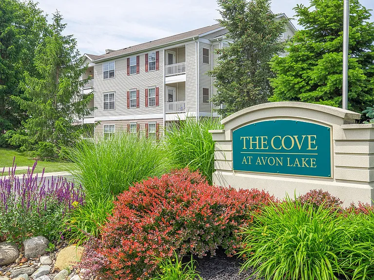 The Cove at Avon Lake — Photo 13