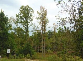 3293 Balley Forrest Dr #165, Milton, GA 30004