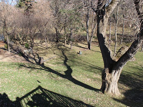 2nd image of 902 Somerset Dr