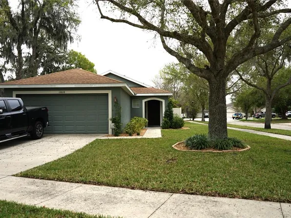 12618 Geneva Glade Dr, Riverview, FL 33578