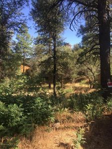 1665 W Diana St, Prescott, AZ, 86303