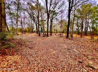 35 Flint Creek Rd, Perkinston, MS 39577