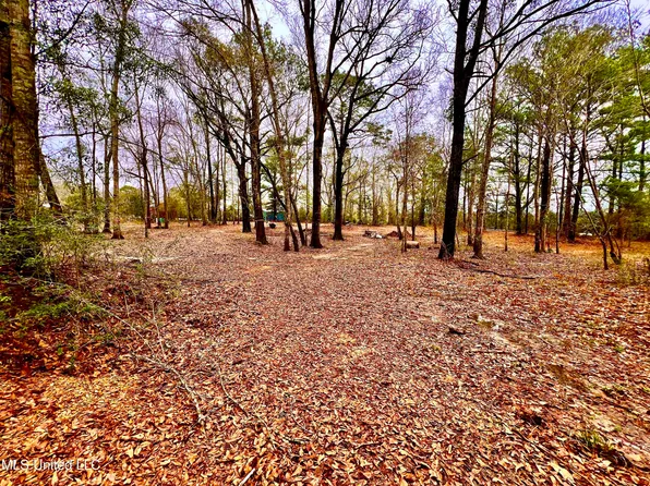 35 Flint Creek Rd, Perkinston, MS 39577