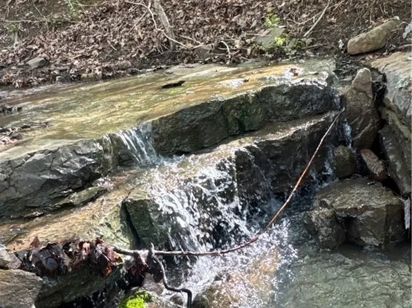 Nc 3328, Harrison, AR 72601