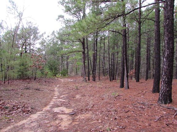 4th image of 1832 An County Road 2133