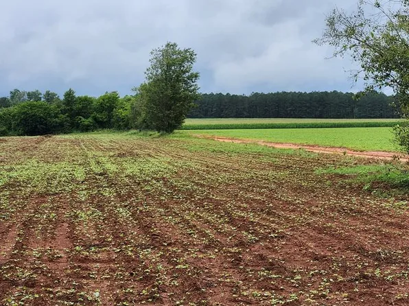 7080 Brohun Camp Rd, Wedgefield, SC 29168