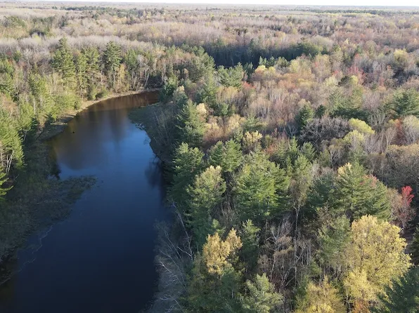 LOT 9 Wildwood Rd, Alger, MI 48610