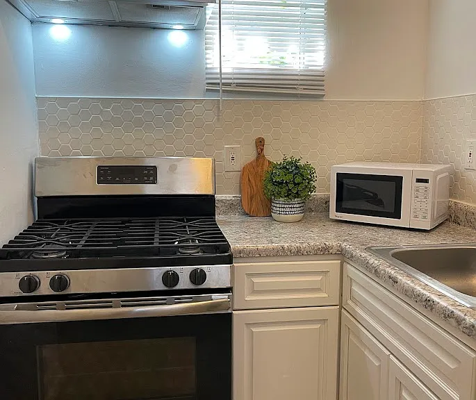 809 Spring Garden St — Photo 6