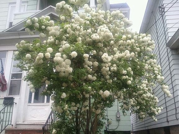 2nd image of 1304 Park St