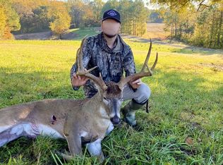 1070 Wilderness Retreat Rd, Jonesboro, IL 62952