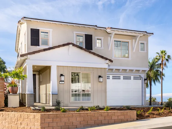 Plan 2 Plan, Citrus Oak