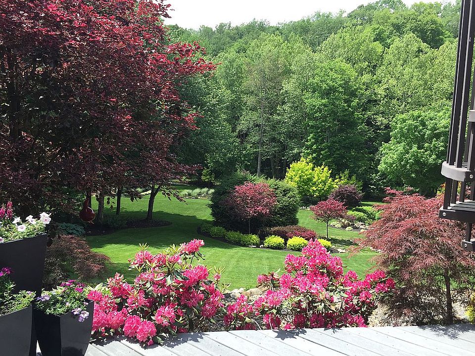 Backyard view off deck