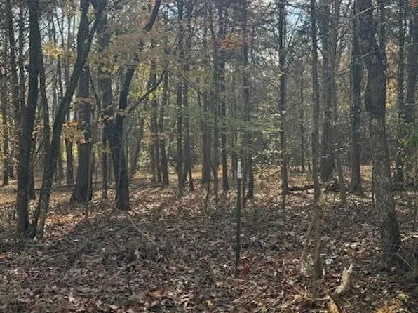 LOT 1031 Meadow Ct, White Pine, TN 37890