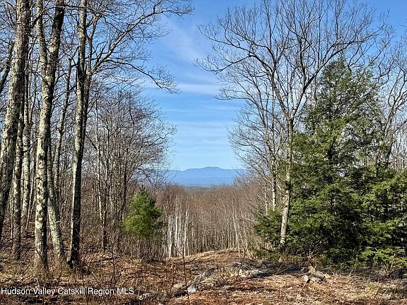 5th image of O Mercer Mountain Road