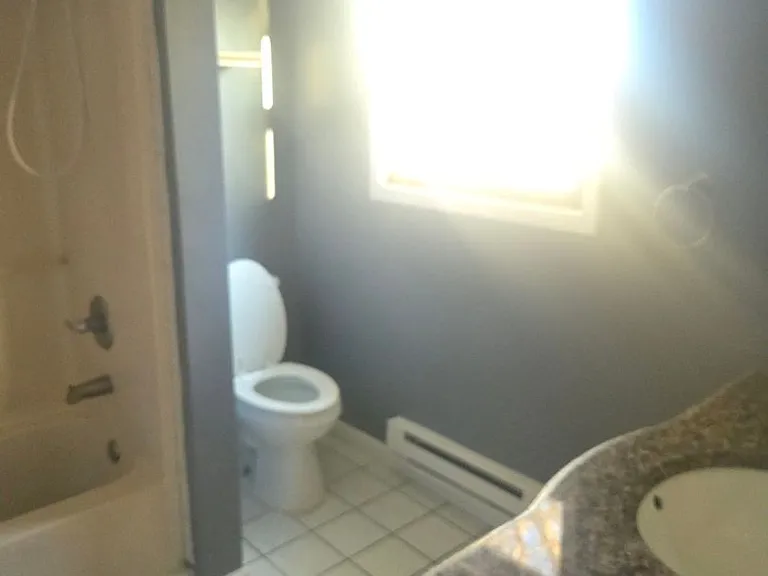 546 Granny Rd — Photo 4