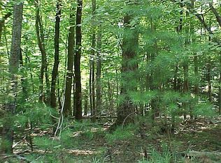 324 Big Rock Ln, Lake Lure, NC 28746
