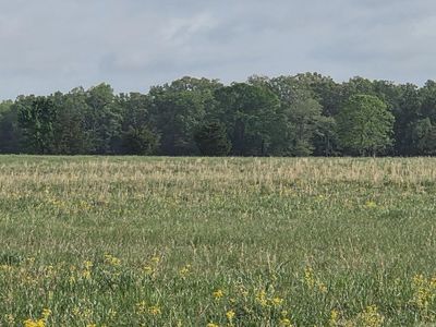 27.24 Acres Off, Searcy, AR, 72143