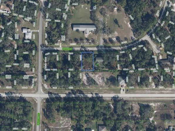 805 Gardenia Street, Lake Placid, FL 33852