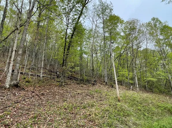 31 Nelson Rd, Hayesville, NC 28904