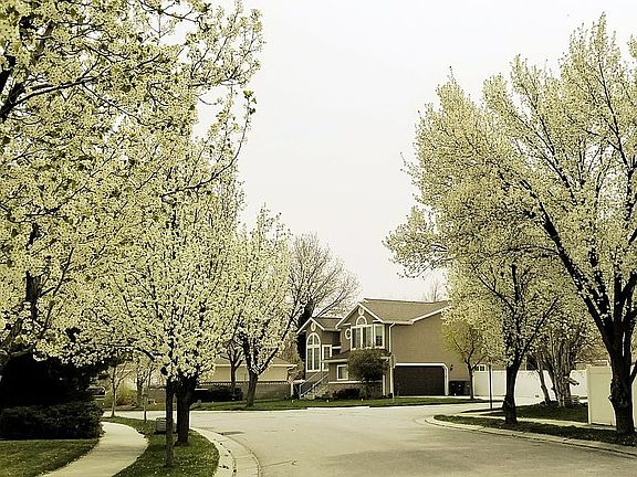 2nd image of 9768 S Sweet Blossom Dr