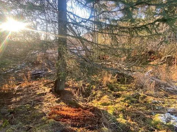 LOT 21 Shelby Kay St, Homer, AK 99603