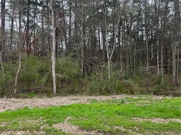0 Pine St, Ball, LA 71405