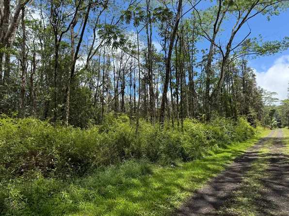 Plumeria Rd Lot 168, Pahoa, HI 96778