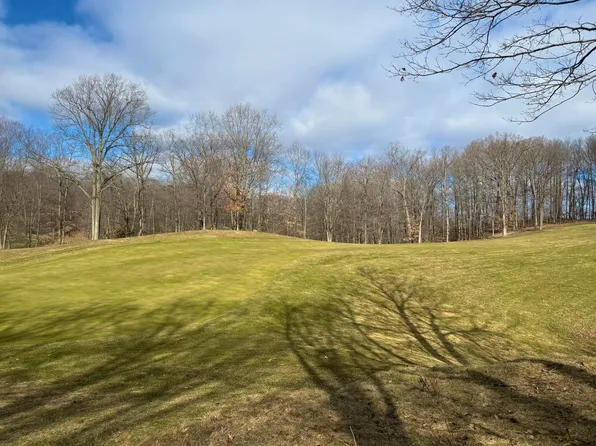 9689 Saint Ives Dr, Stanwood, MI 49346