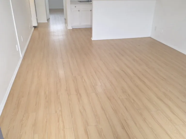 230 Bay St #5 — Photo 5