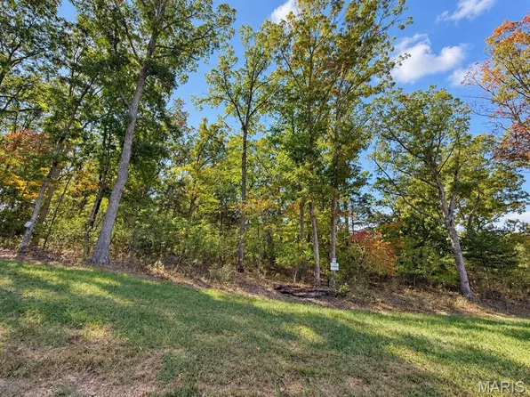 11 Forestdale Ln, Warrenton, MO 63383