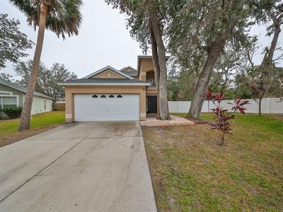 6930 Summer Harbor Ln, Riverview, FL, 33578