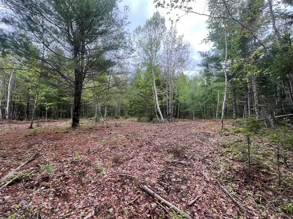 4 Taylor Woods Road, Waltham, ME 04605