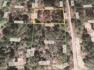 256 Blue Heaven Dr, Lake Placid, FL 33852