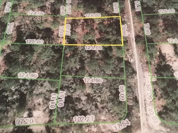 256 Blue Heaven Dr, Lake Placid, FL 33852