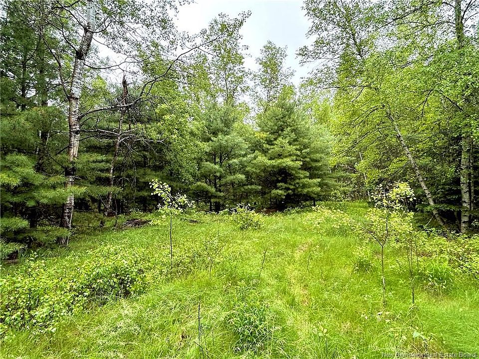 2nd image of Kelly Rd
