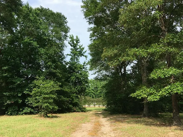 13821 N Highway 75, Willis, TX 77378