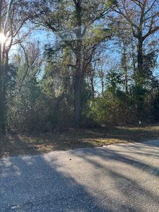 2550 Antelope Dr, Dalzell, SC, 29040