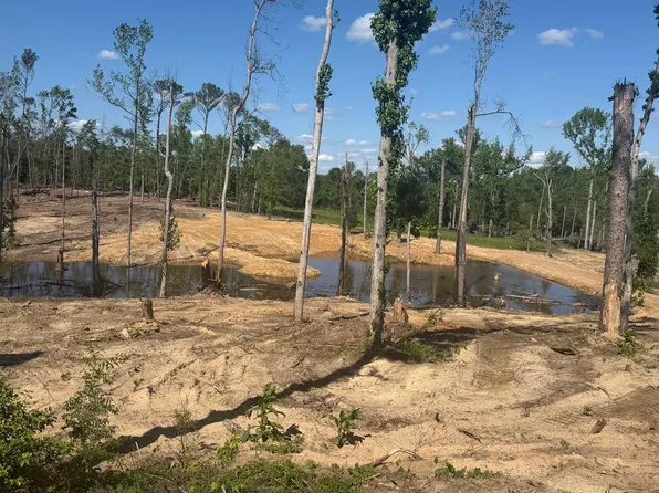 0 County Road 5509, Troy, AL 36081