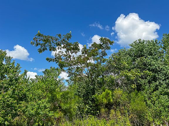 4th image of Fm 1010