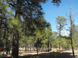 2208 Aztec Cir, Happy Jack, AZ 86024