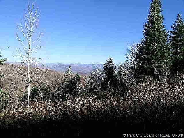 1st image of 178 Porcupine Loop #178-FM-D