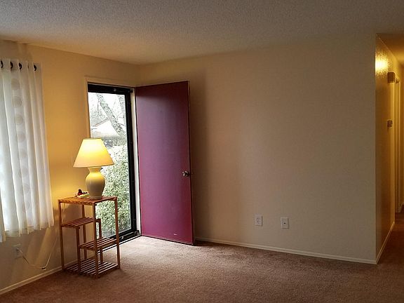 Living Room - N view