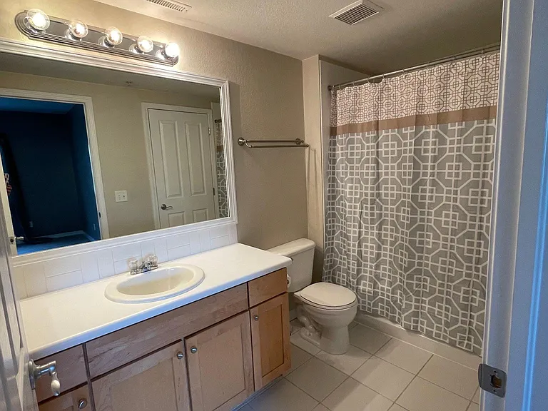 Bathroom (2 door access: door to master and door to hallway)