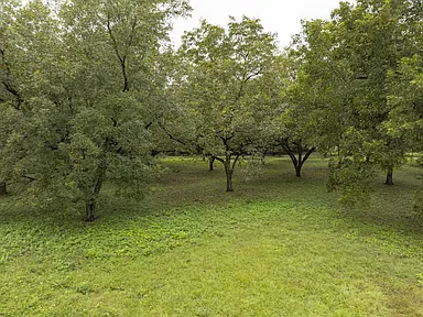 Property photo 65